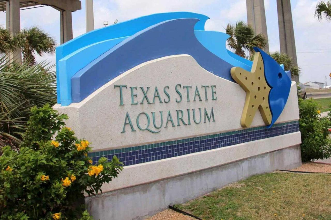 With Pool Access, Walk To Apartment